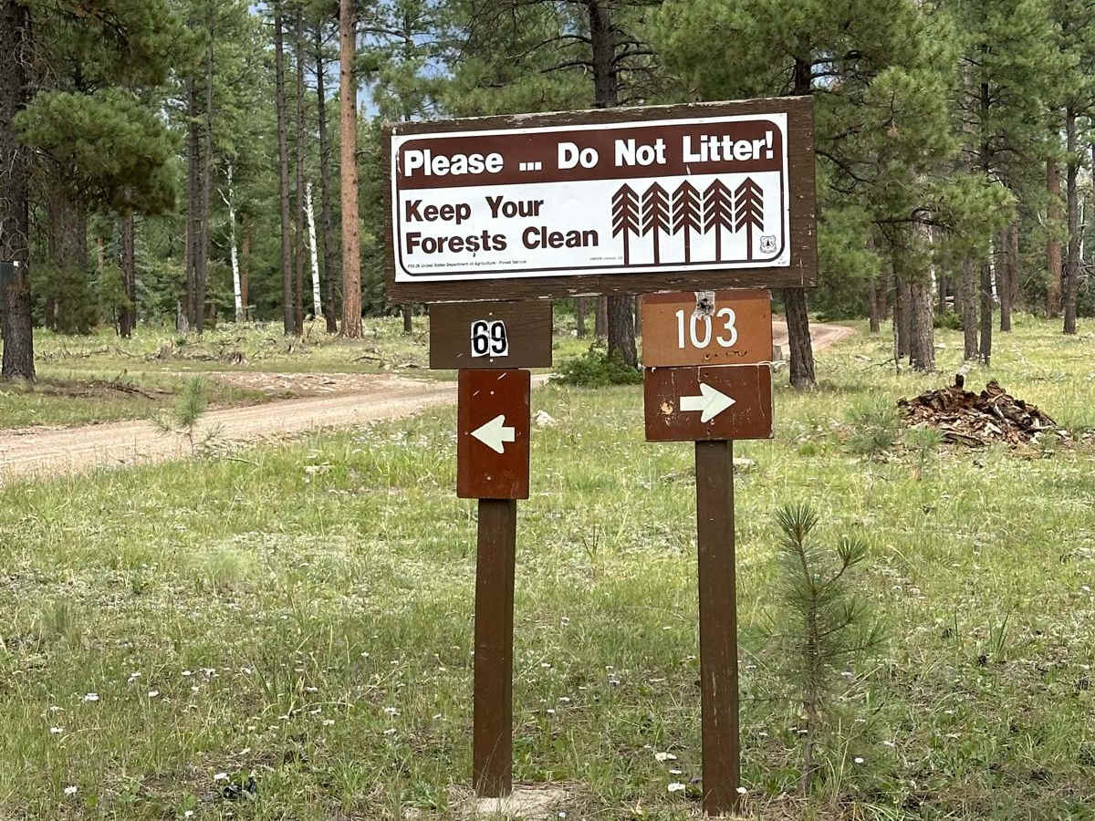 FR 69 American Park trail photo