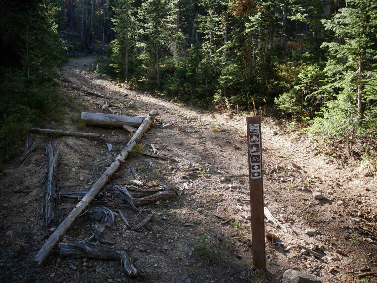 Richey Creek ATV Trail photo 6