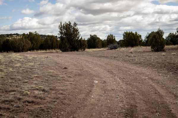 Section 10 Traverse