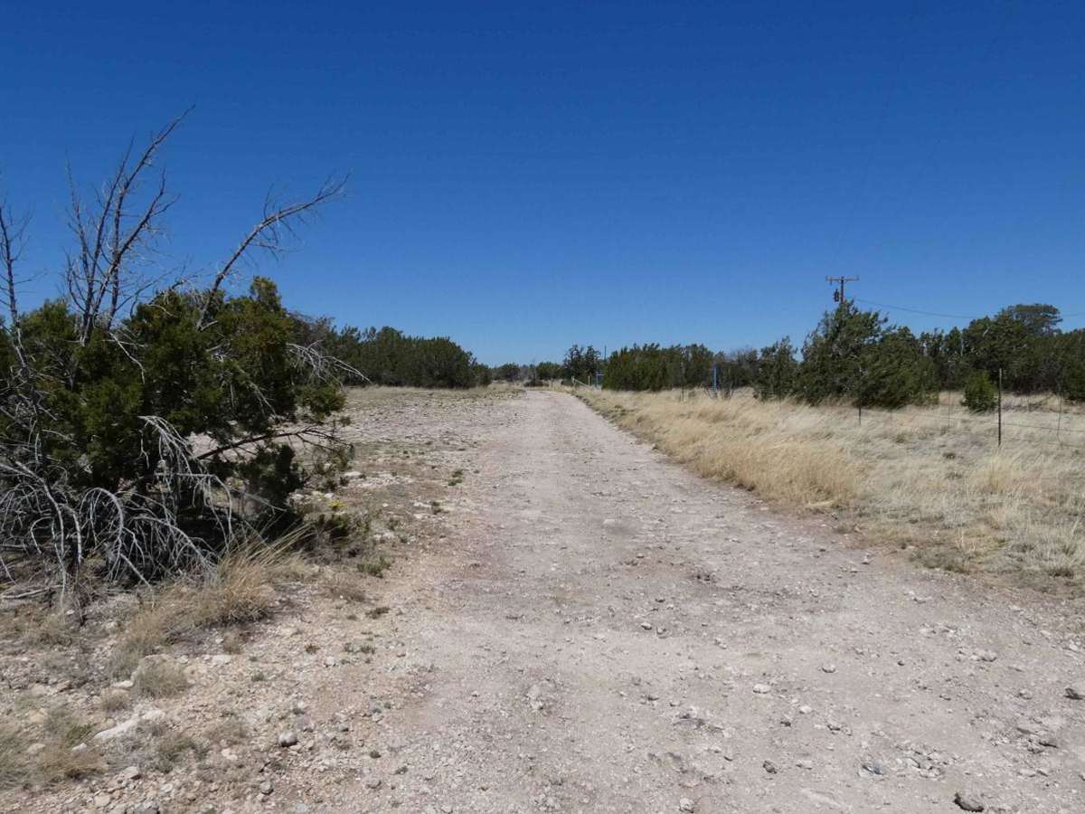 Horse Pasture trail photo