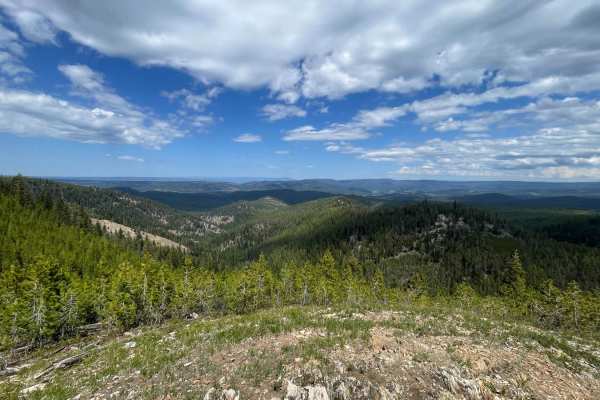 Winom/Frazier OHV Loop