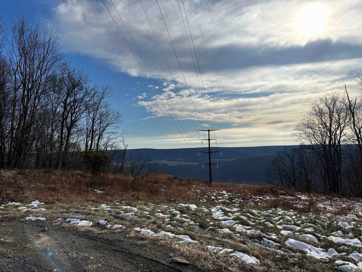 Locust Gap 32 photo 3