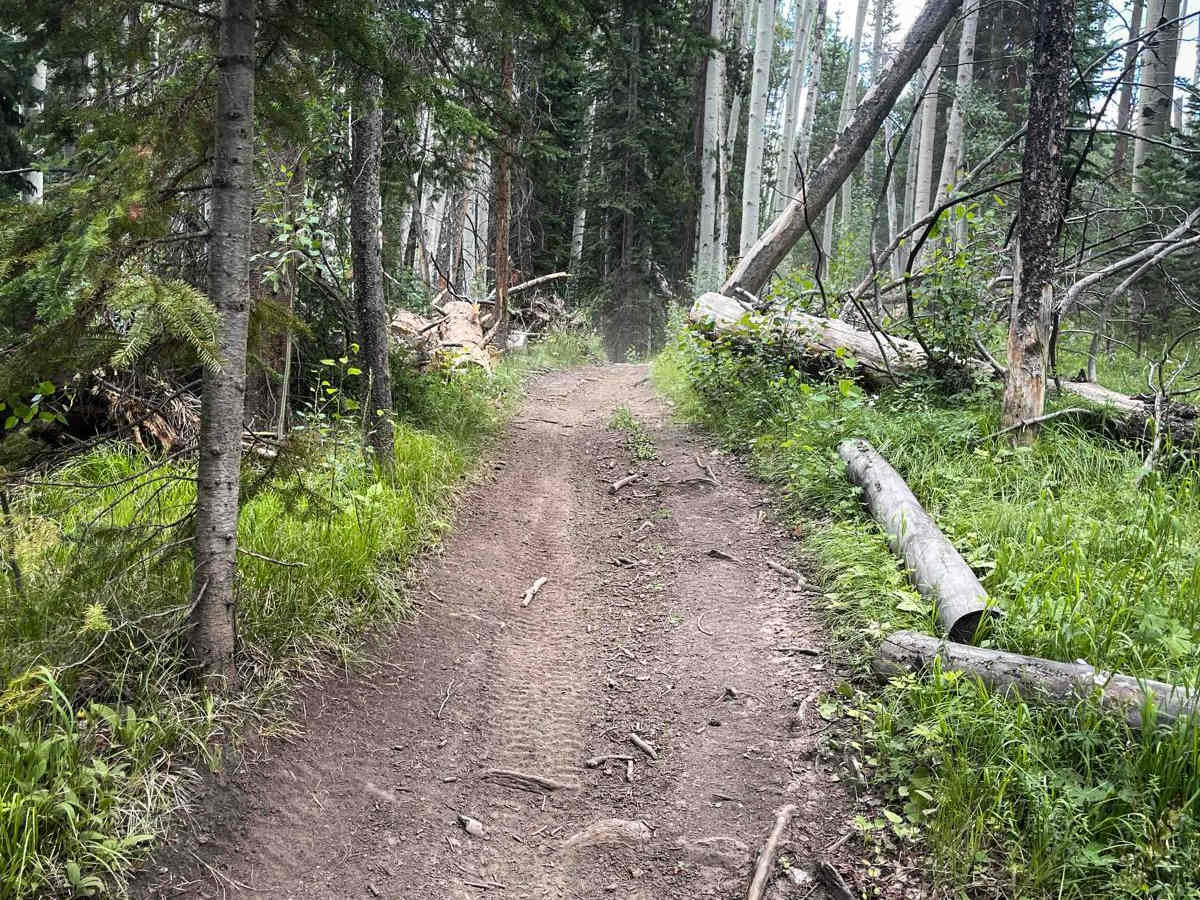 Elkhorn Trail South photo 5
