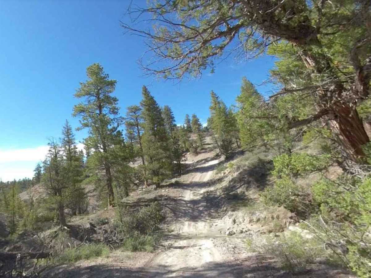 Limekiln Road-BLM2350 photo 4