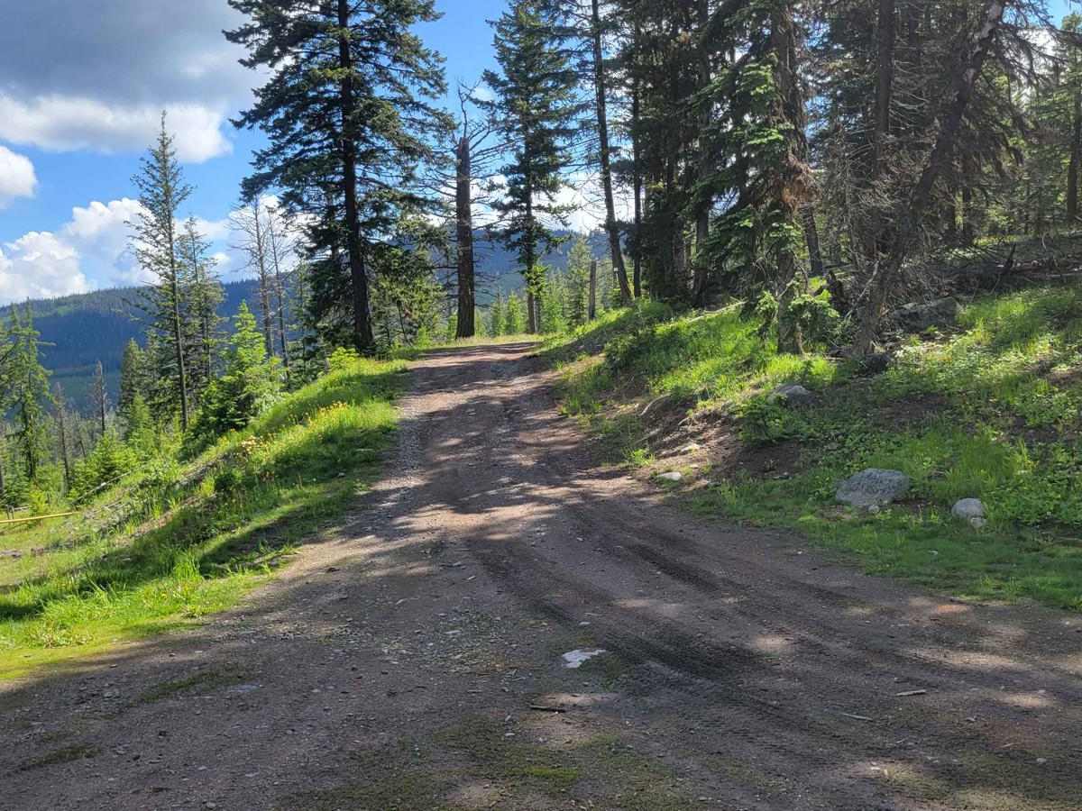 Cougar Creek Road photo 4