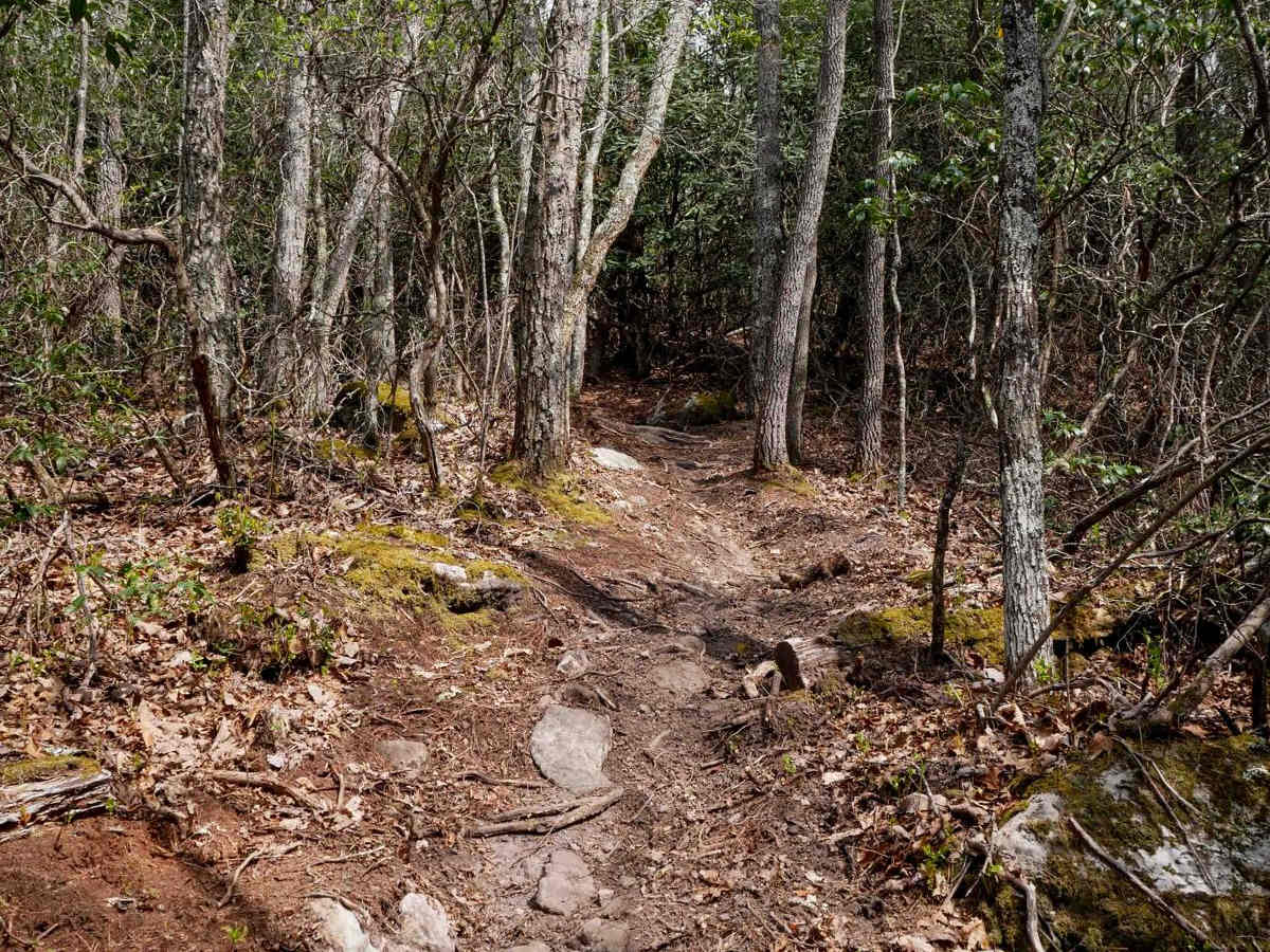 A6 trail photo