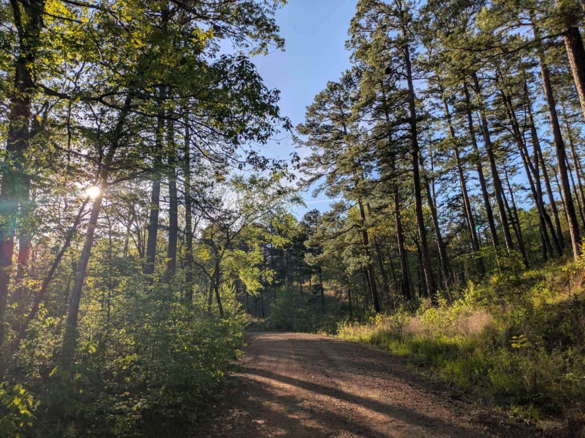Denton Creek Road photo 3