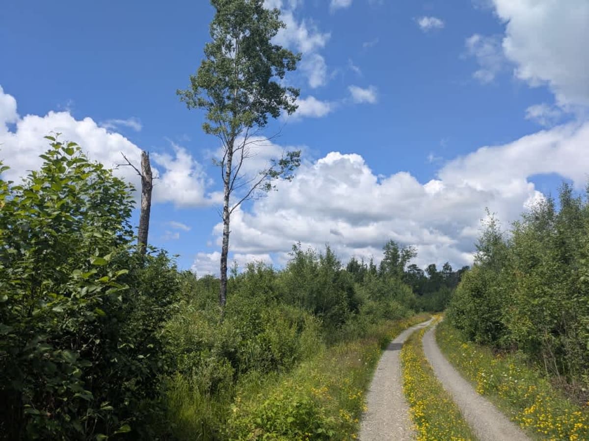 State Trail trail photo
