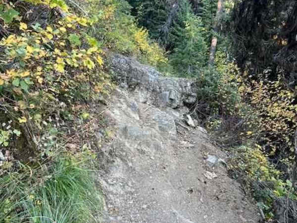 Columbia Mountain Loop photo 5