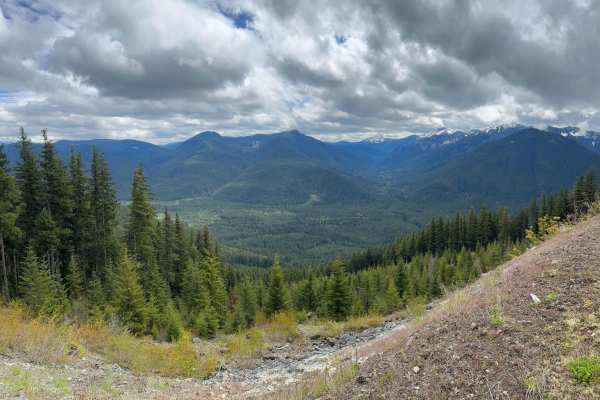 Doe Creek Forest Road