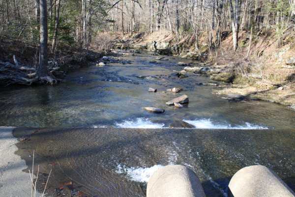 Pipe Spring