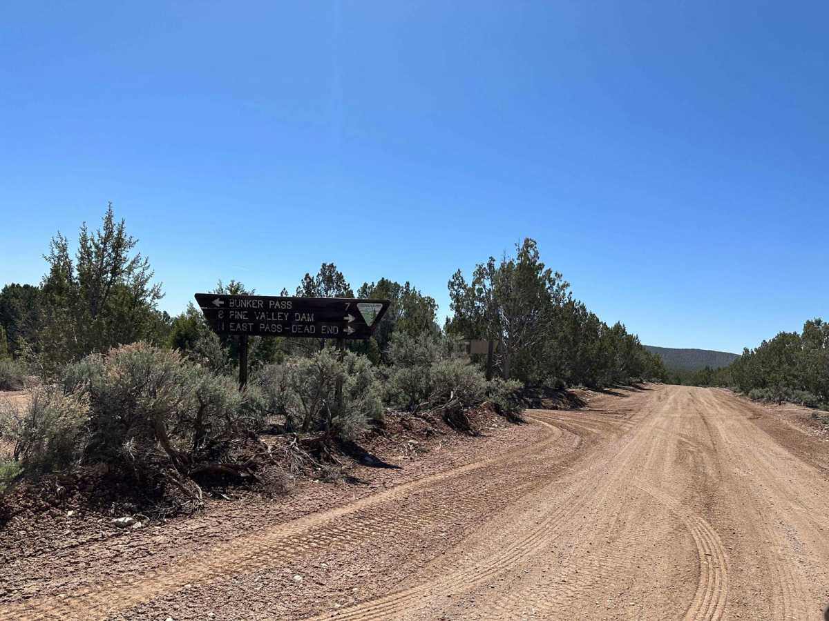 Pine Canyon Dam Road photo 5