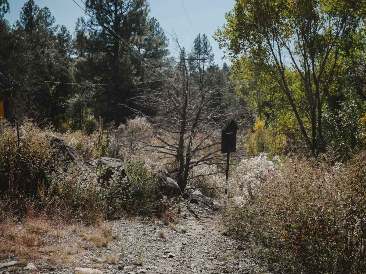 Salida Connection photo 5