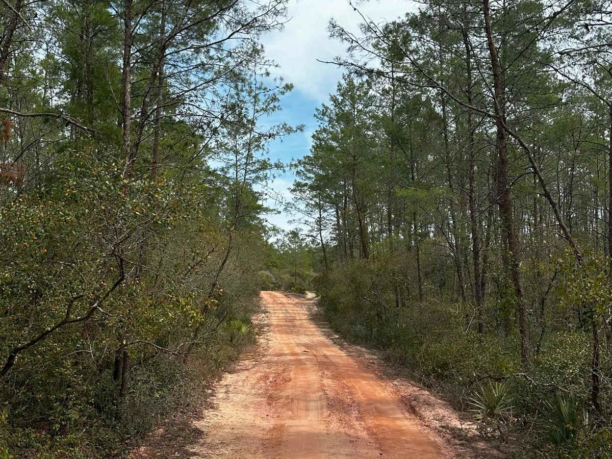 ONF Trail 17-2.6 photo 2