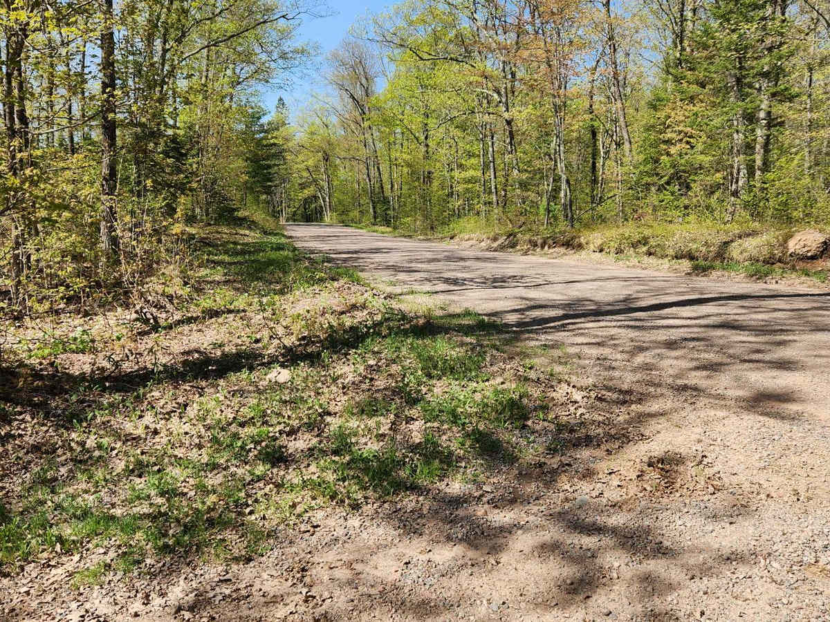 Trail 8 photo 4