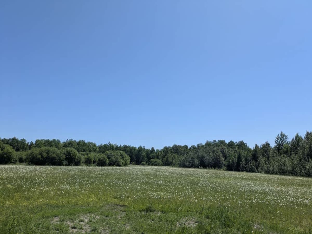 County Road 154 photo 4