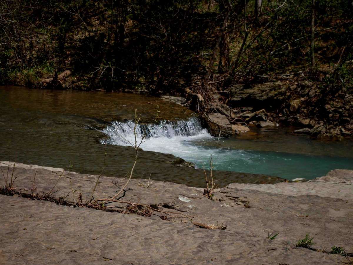 Brock 42 trail photo