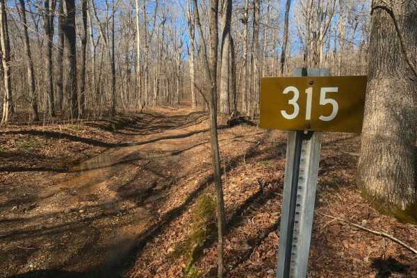 Fulton Furnace Road - FS 315