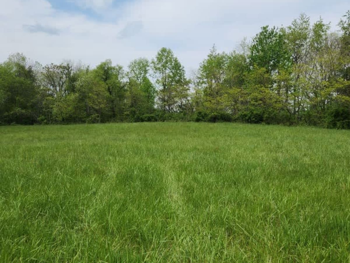 Mouth Hollow Road trail photo