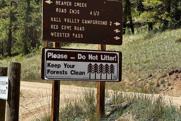 Beaver Creek
