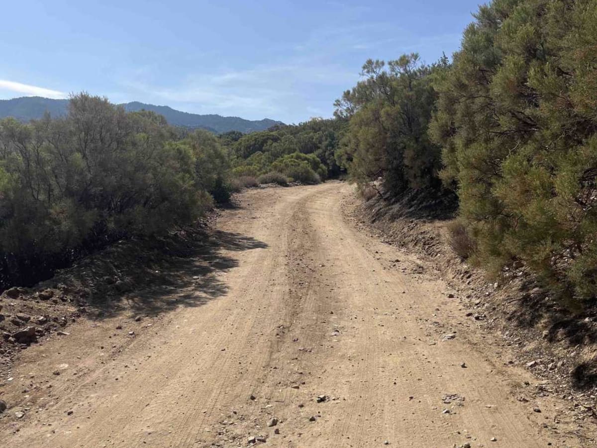 Santa Rosa Truck Trail  7S02 photo 4