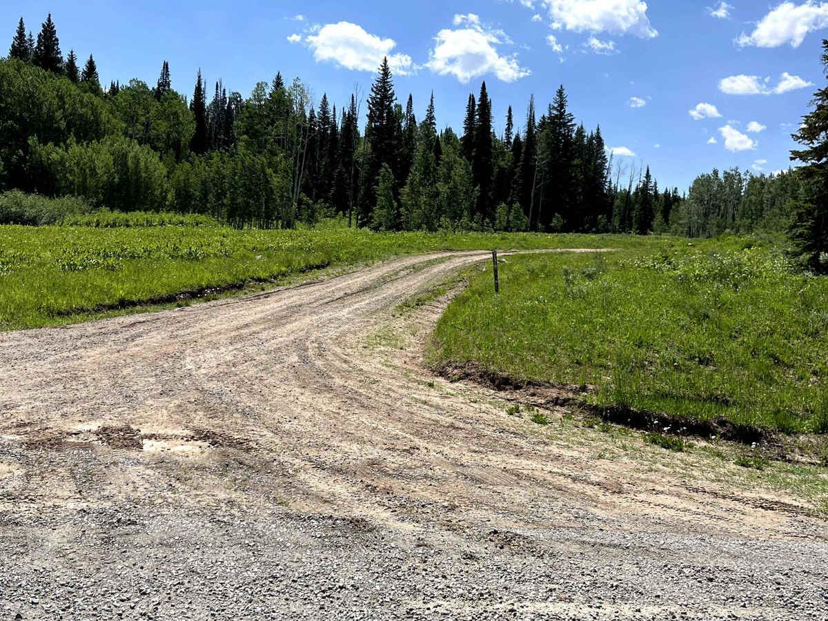 Transfer Road 967.1 photo 3