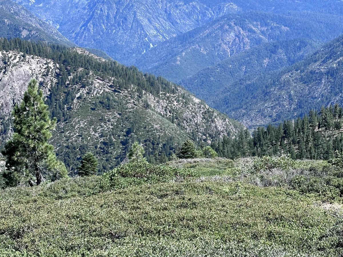 Texas Hill Road photo 5