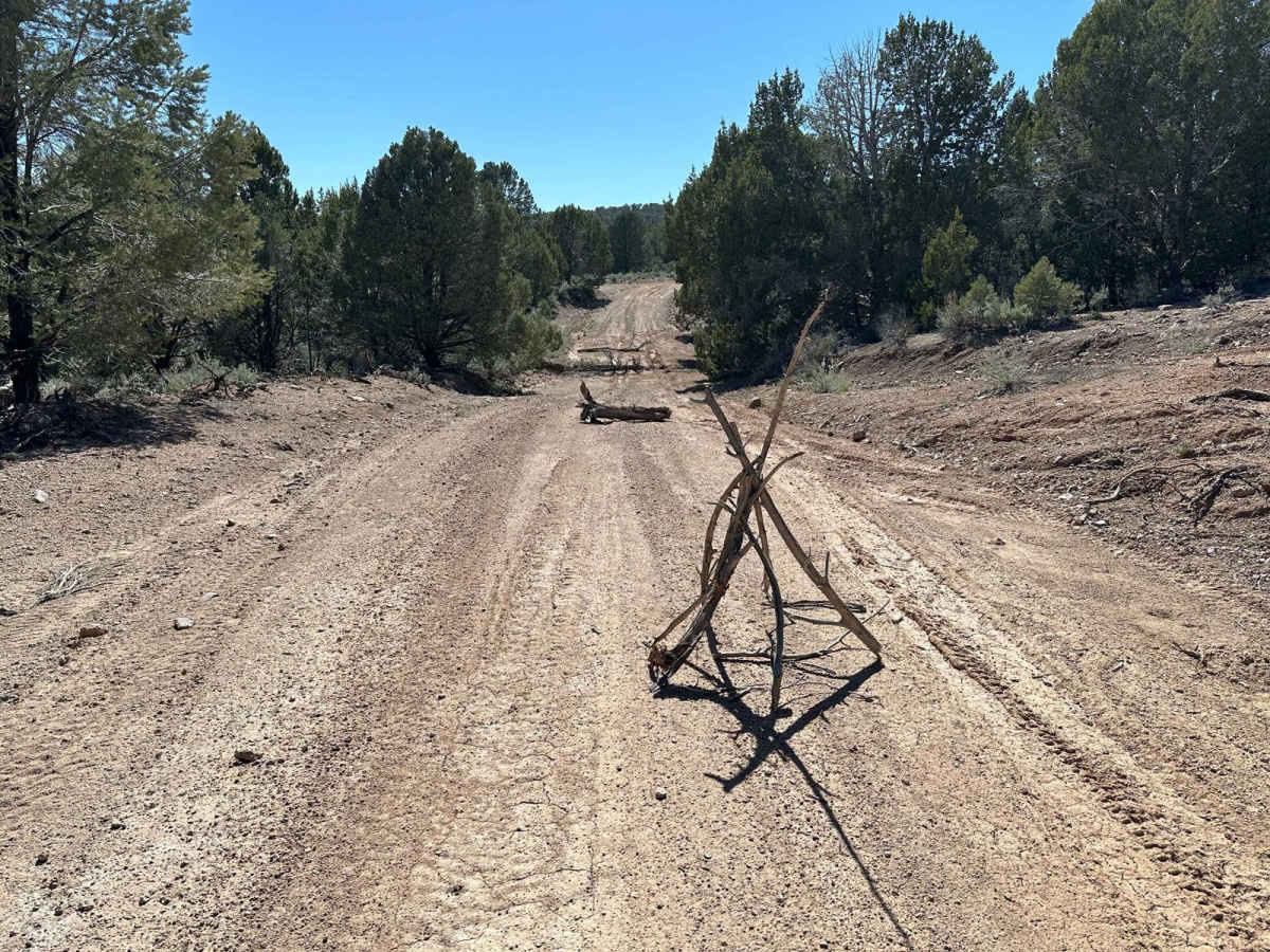 North East Pass Road photo 2