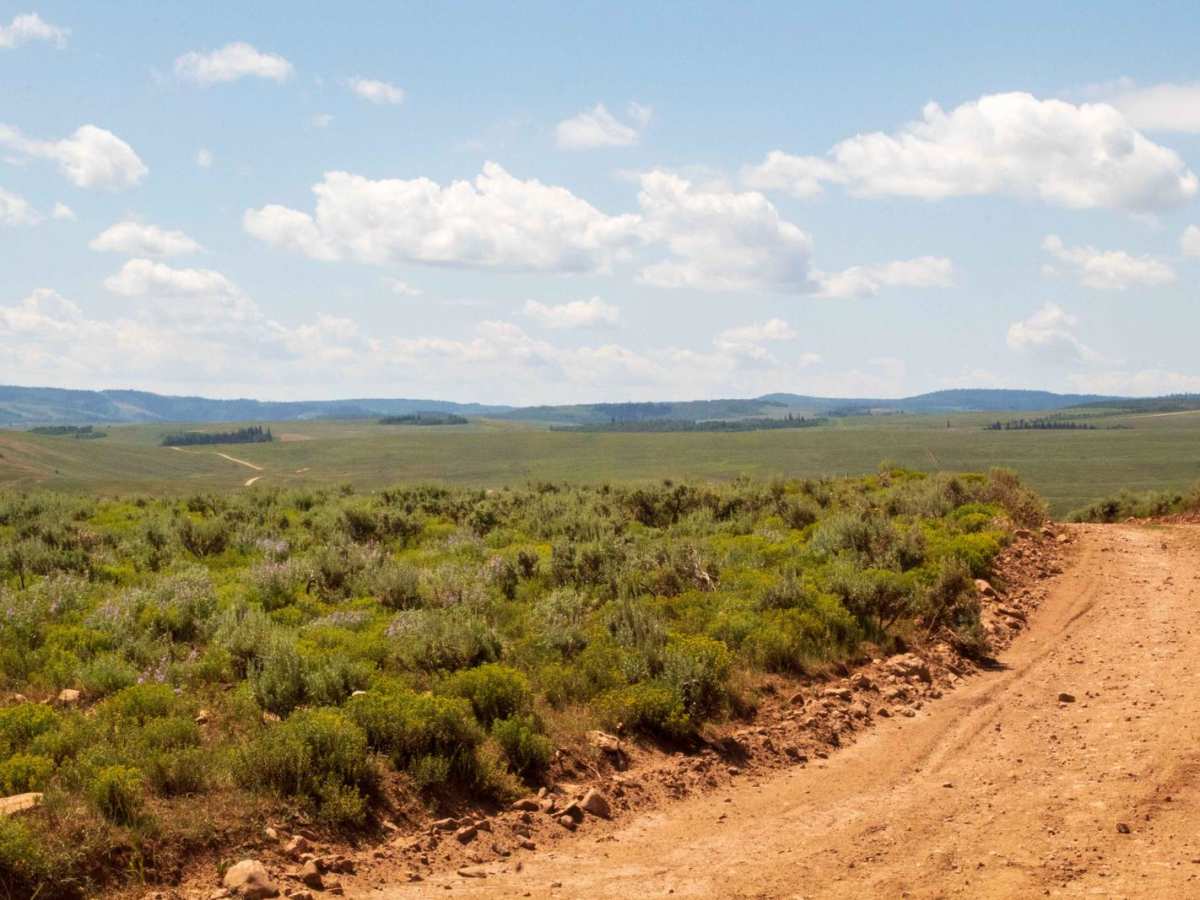 Millie Springs Road photo 5