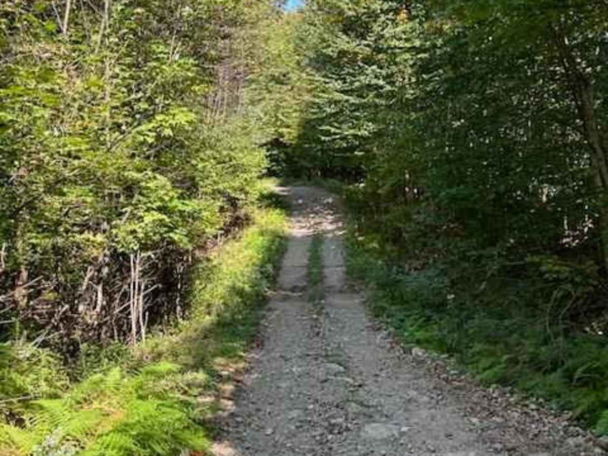 Picketville Road photo 5