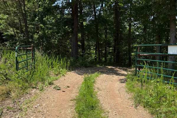 Hunter's Trail