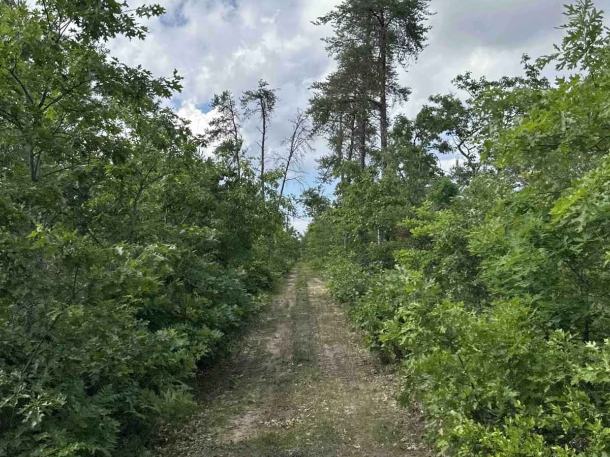 Spring Lake Spur photo 6