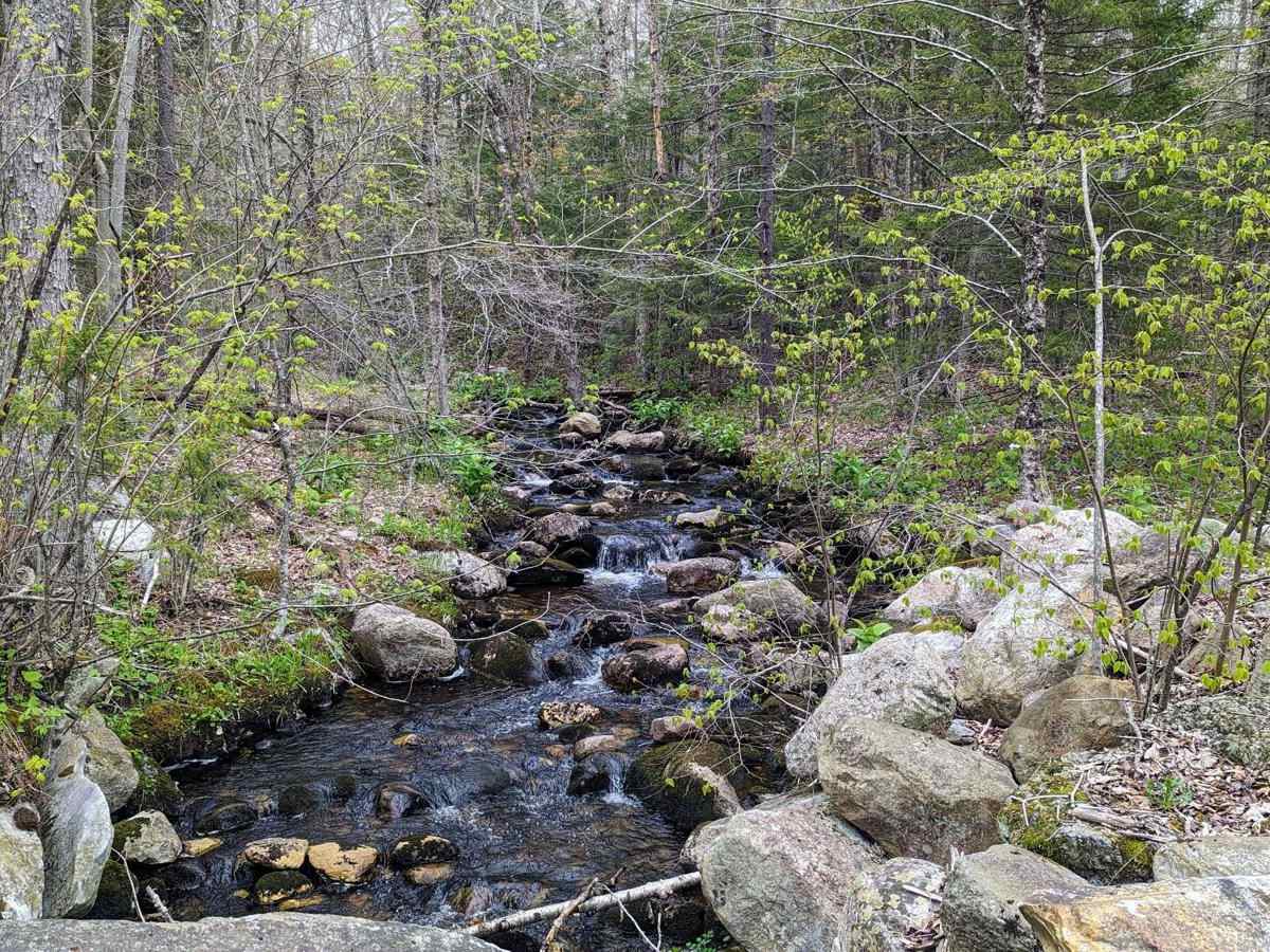 Risky Ranch Road (VT TR 302) photo 5