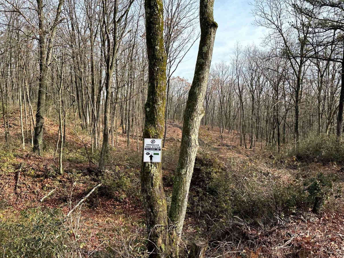 Darkwater 92 photo 2