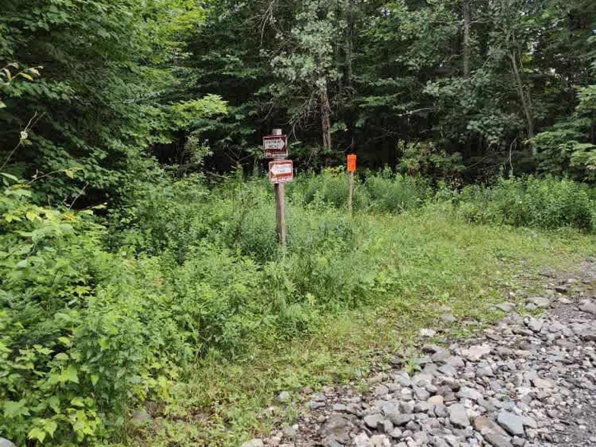 White Wolf Trail photo 4