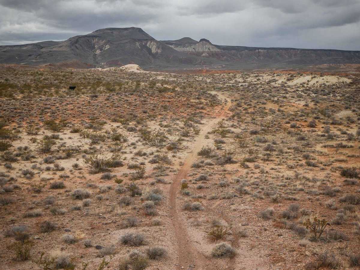 2048 Single Track photo 6