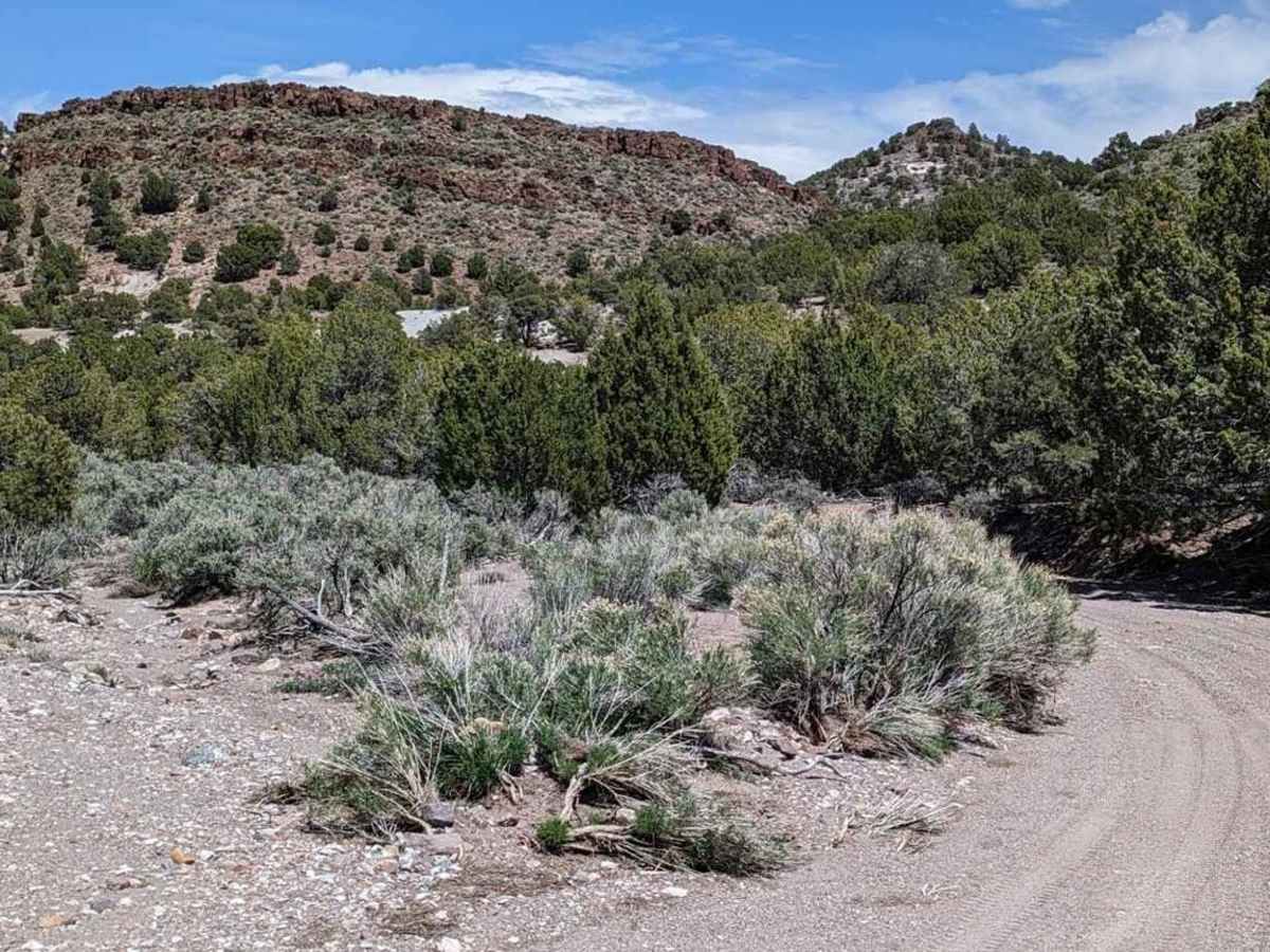 Revenue Basin Road trail photo