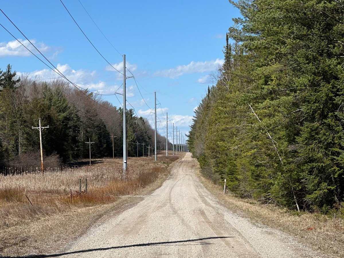 Wilber Road photo 2