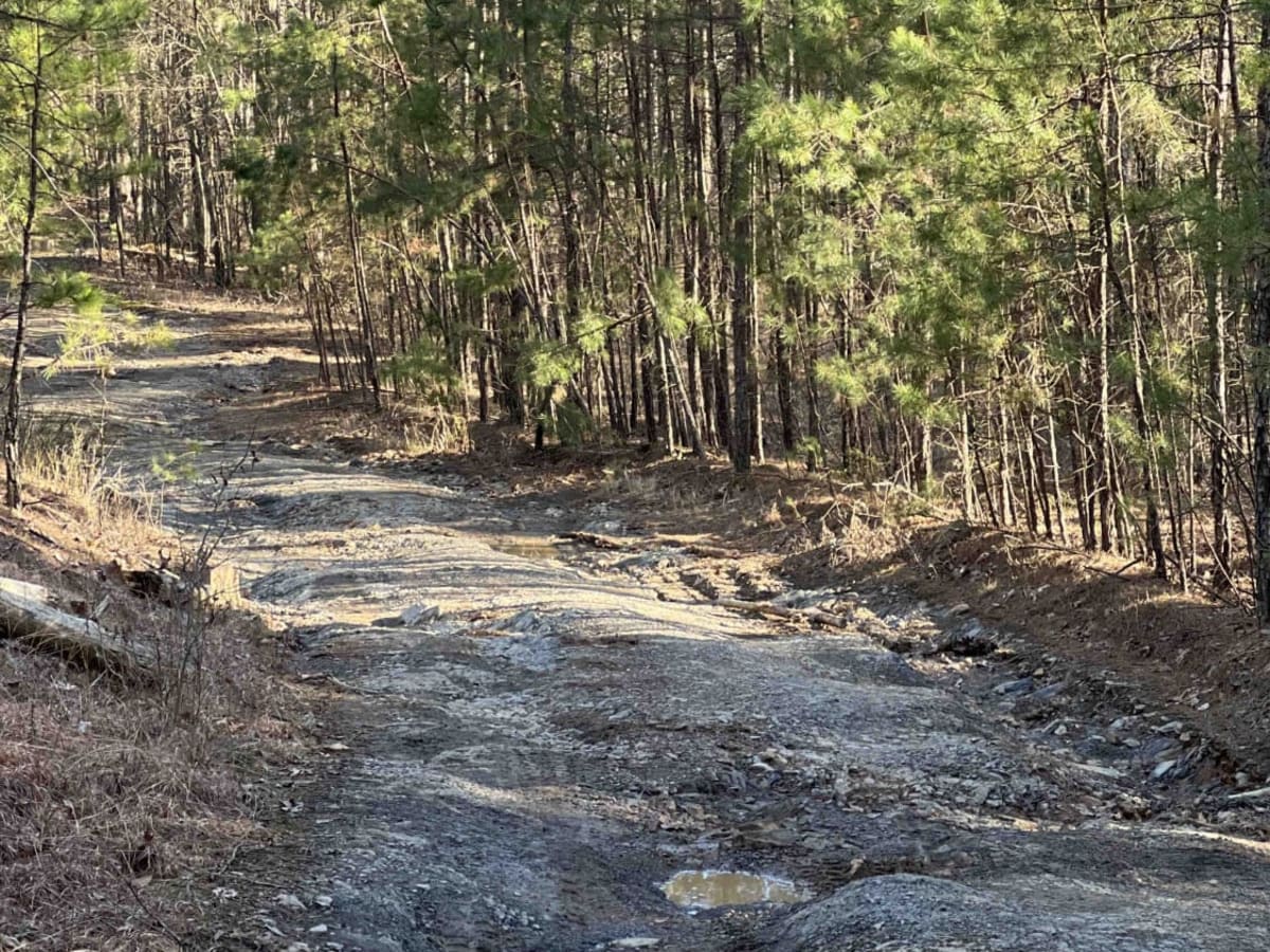 Wildcat Mountain 179 photo 6