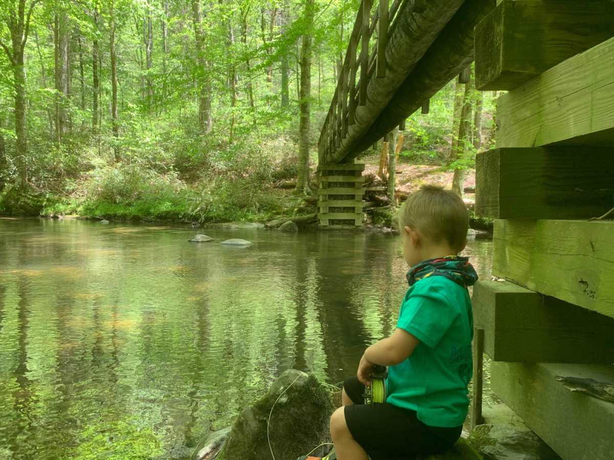 Fingerboard Road trail photo