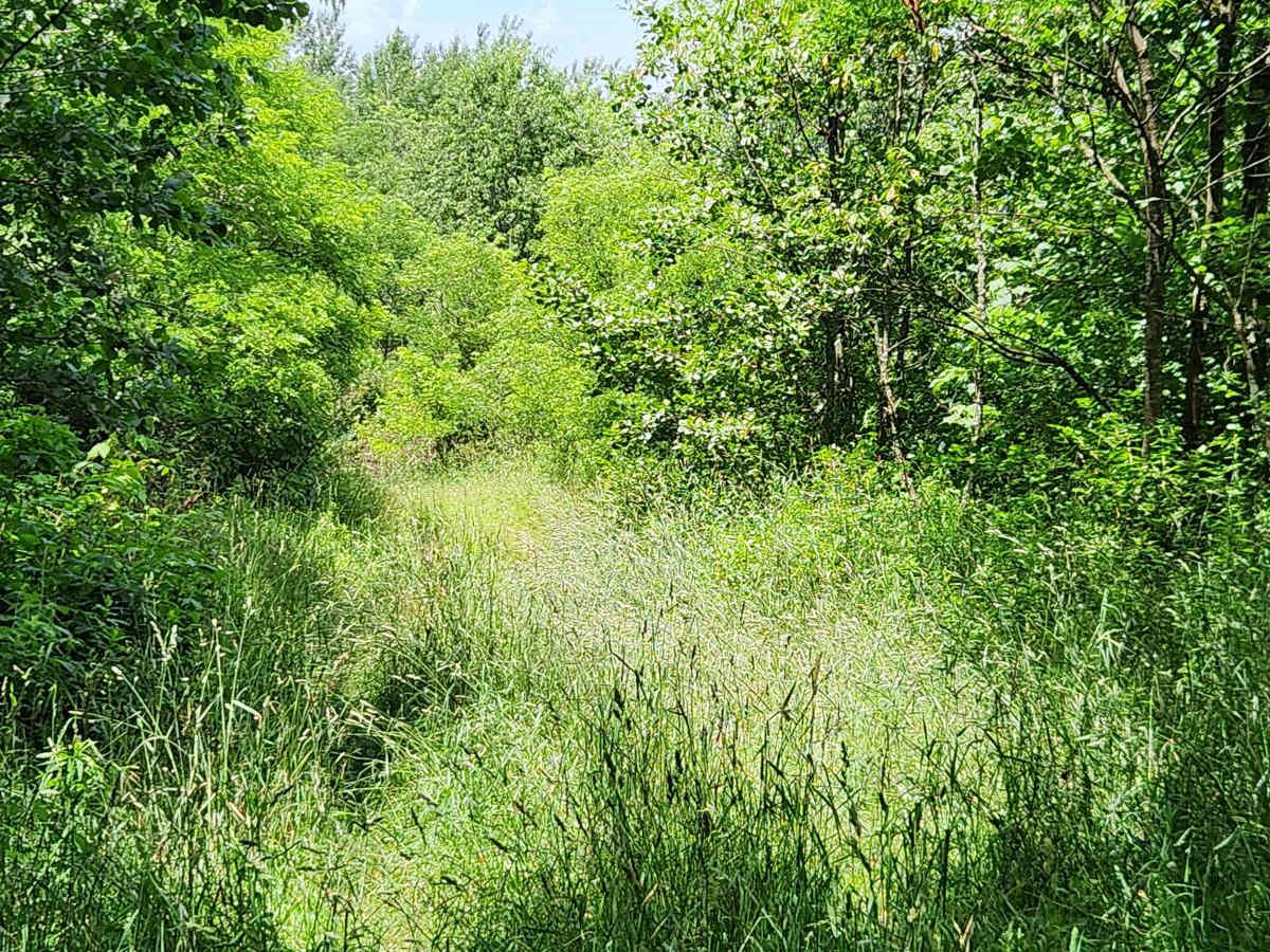 Trail 9 - Rock Run Recreation Area photo 4