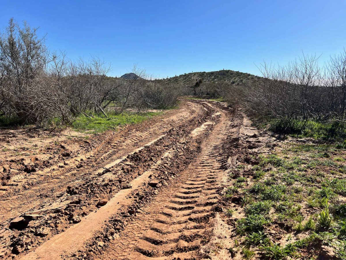 Ritter Tank Trail photo 6