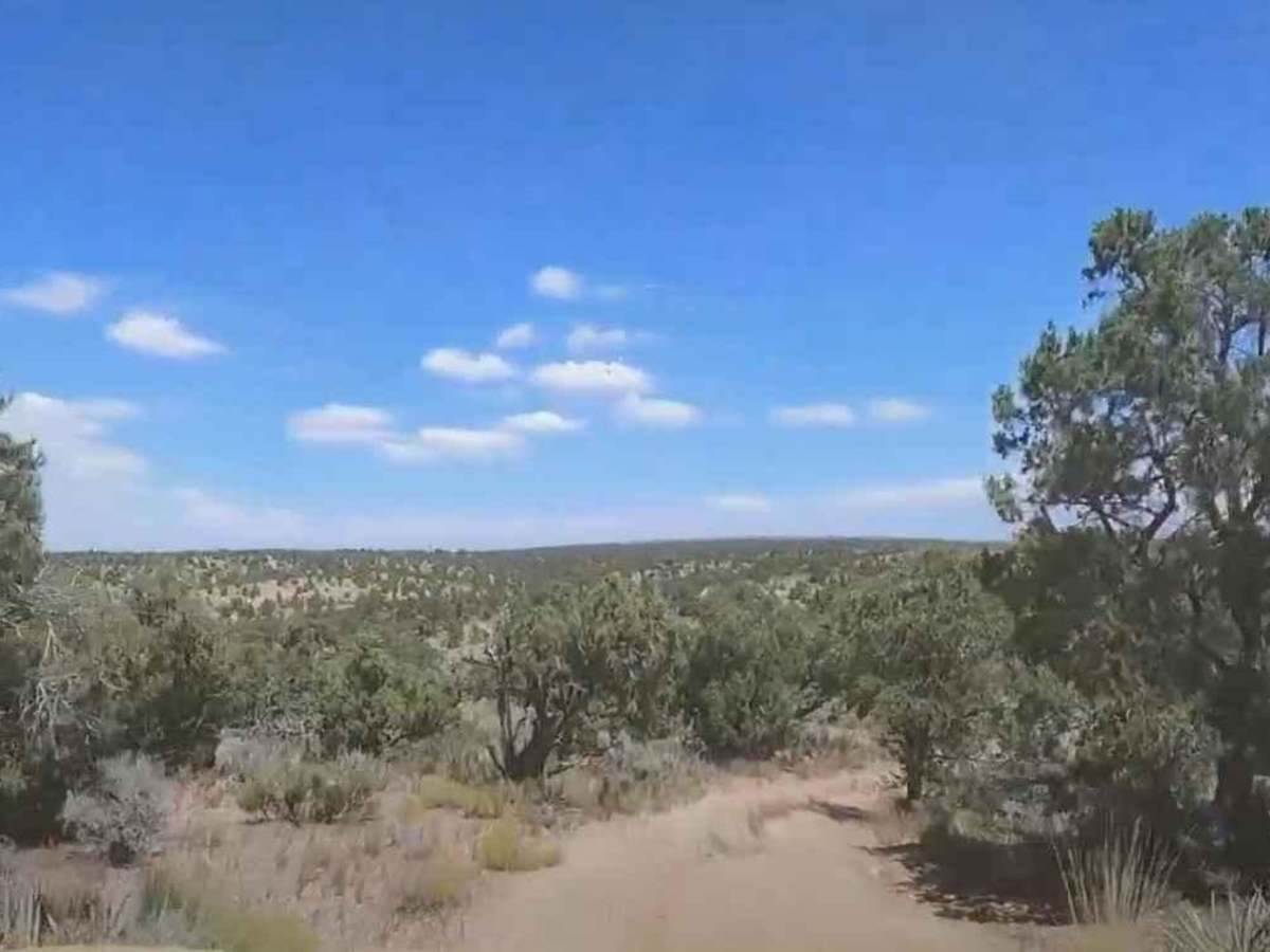 SB Point Road photo 6