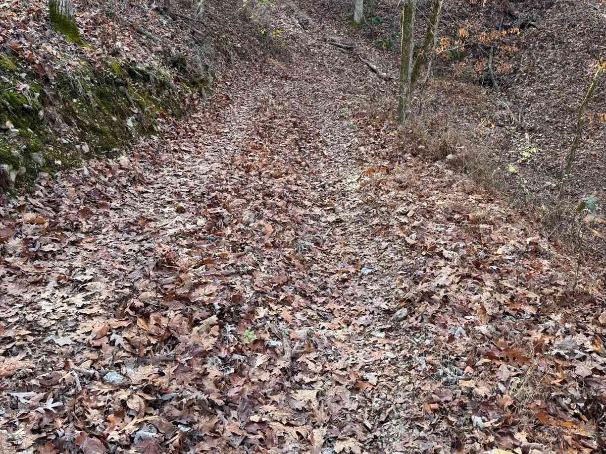 Yellow 164 trail photo