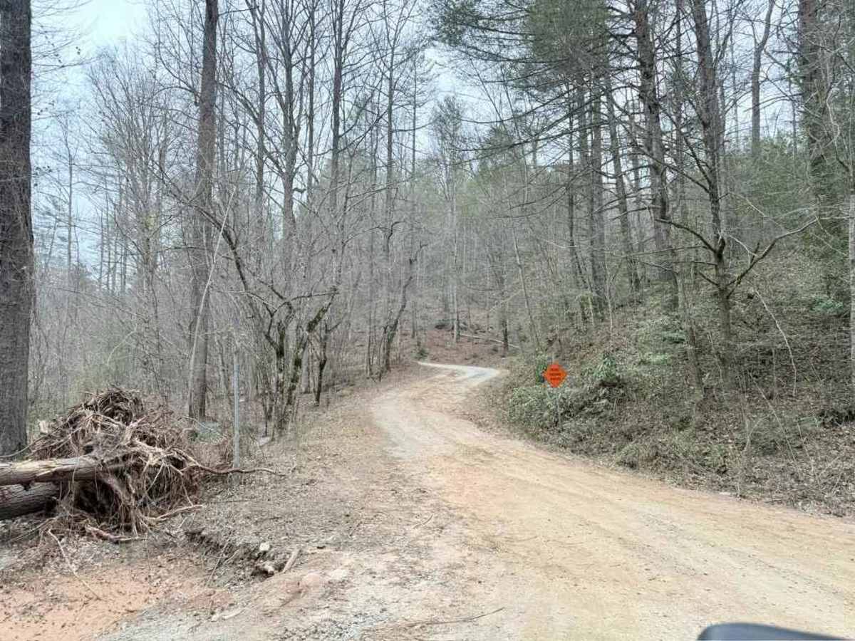 Raven Cliff - FS 197 trail photo