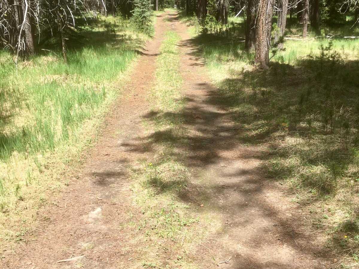 Noname Trail photo 5
