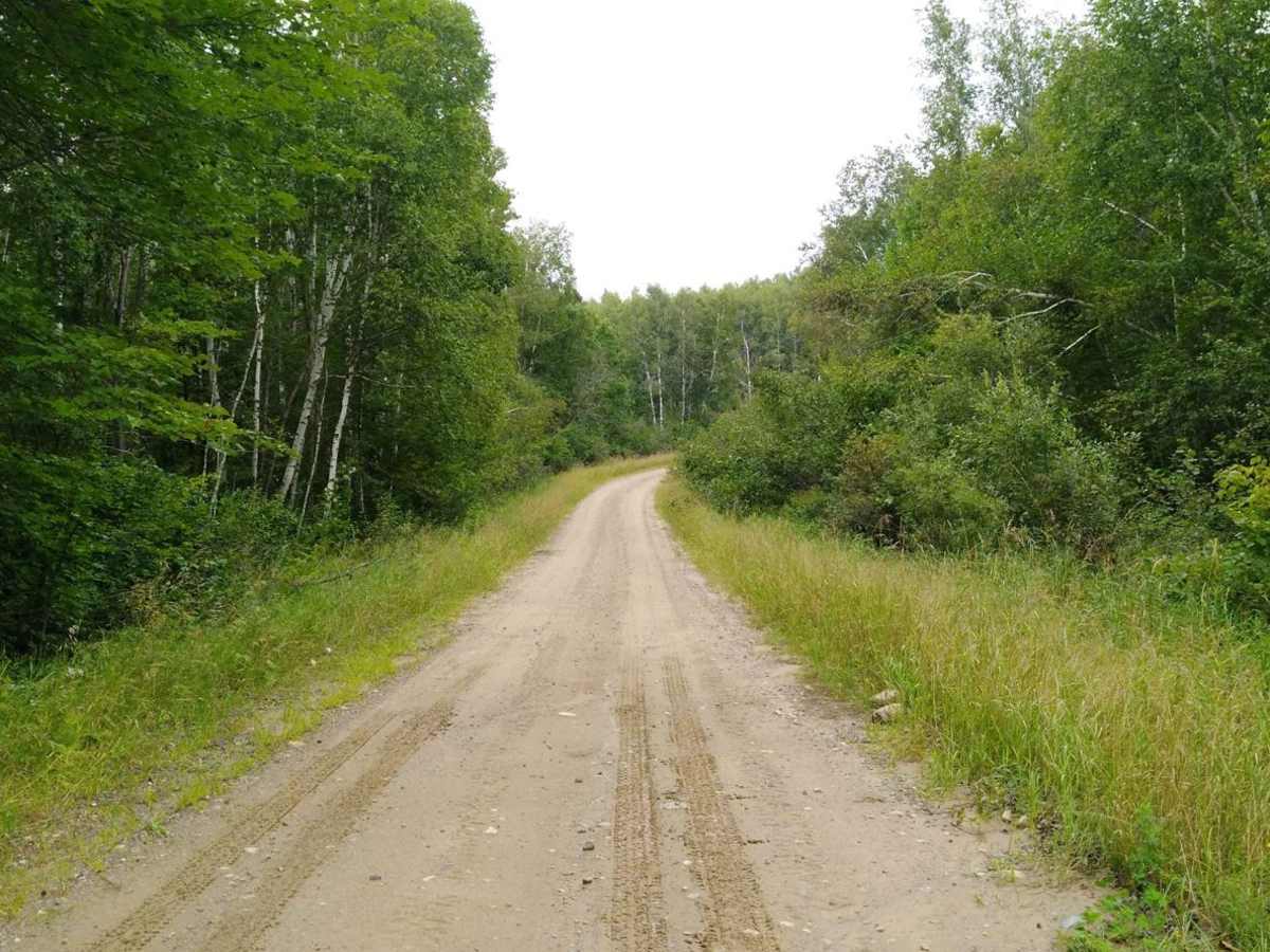 Cedar Lake Loop trail photo