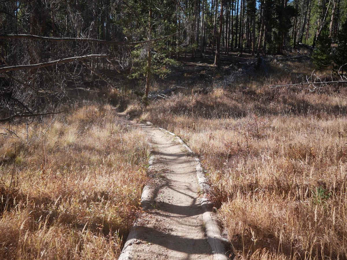 Powerline photo 3
