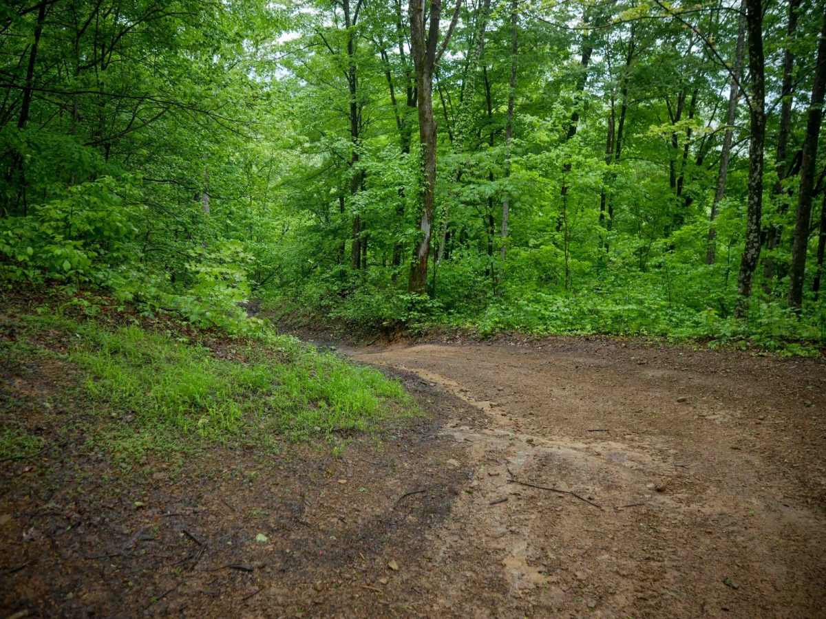 B41 trail photo