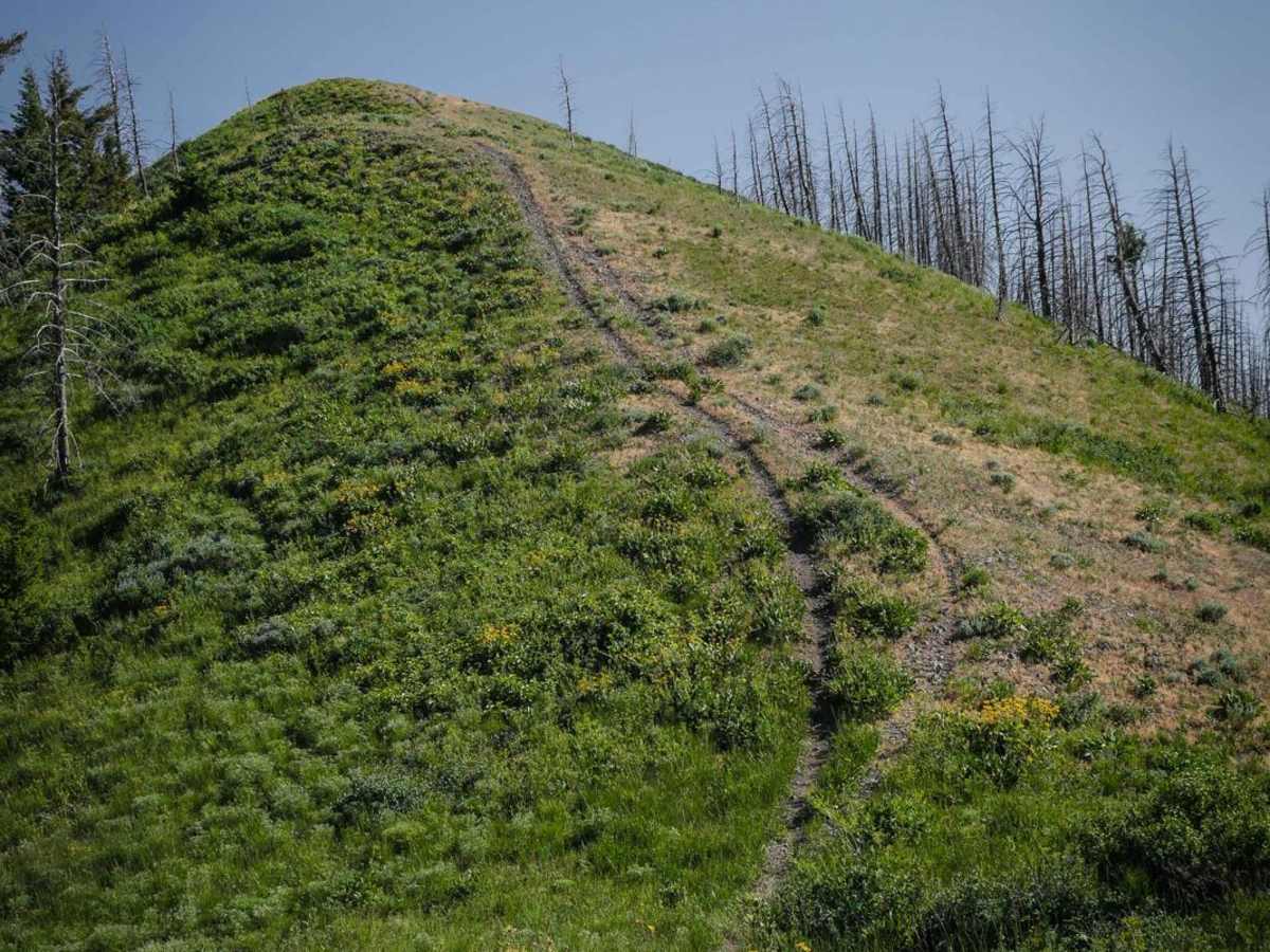 Panther Gulch  - Imperial Connect photo 4